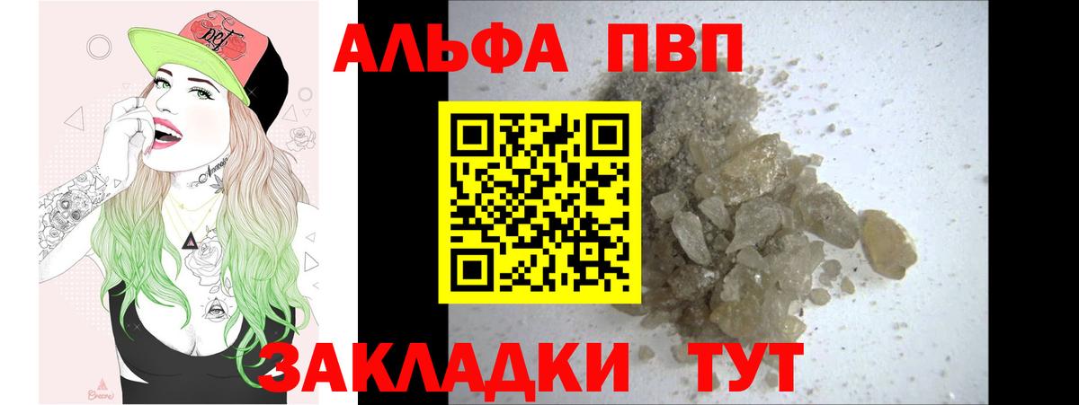 Альфа ПВП СК КРИС Новозыбков