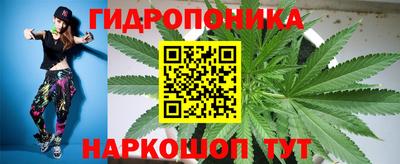 молекула духа Донской