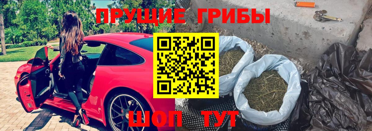 купить закладку  Новозыбков  Псилоцибиновые грибы ЛСД 