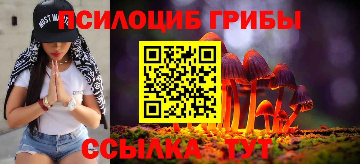 Галлюциногенные грибы прущие грибы Новозыбков