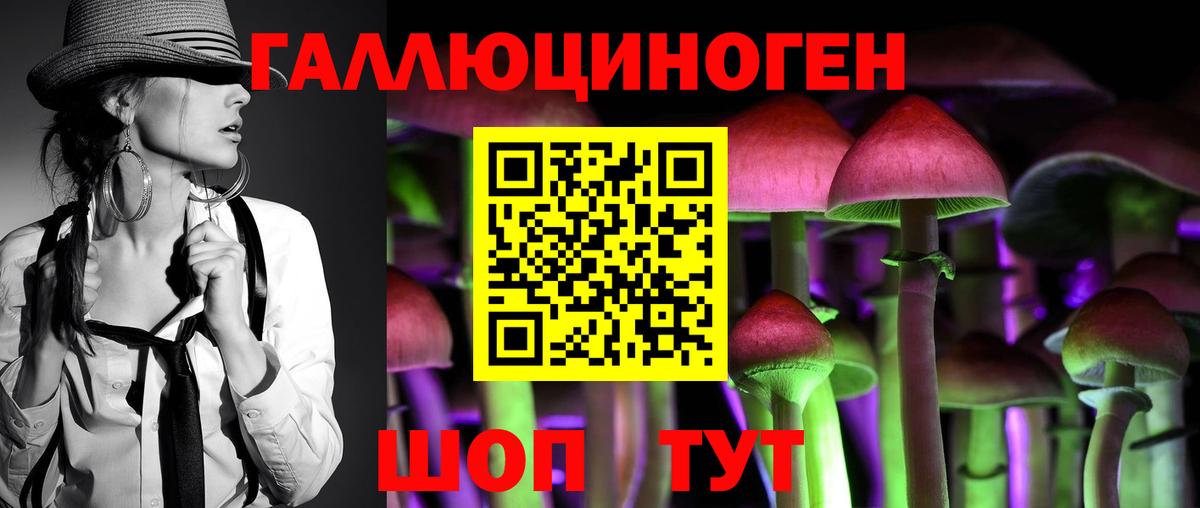 Галлюциногенные грибы GOLDEN TEACHER  Вход с VPN  Галлюциногенные грибы GOLDEN TEACHER  Новозыбков 